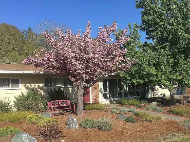 Spacious Mid Century Ranch Home with Private Backyard and Town Access