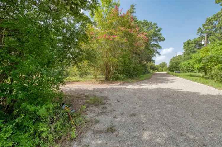 Land For Sale in 137, Ranchette Street, Camp Swift, Texas