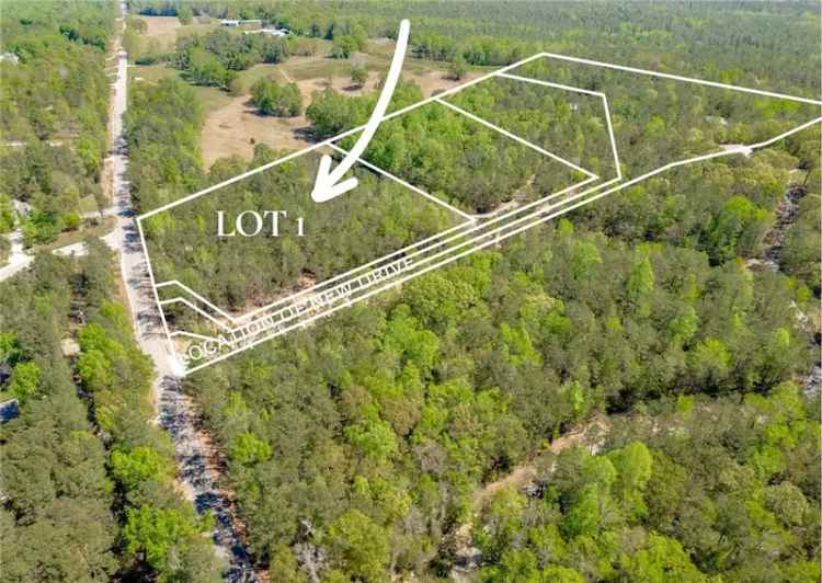 Land For Sale in 9431, Society Hill Road, Auburn, Alabama