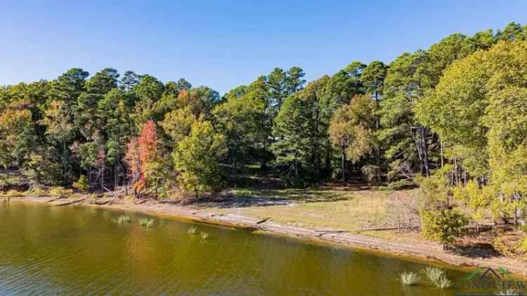 Single-family house For Sale in Texas