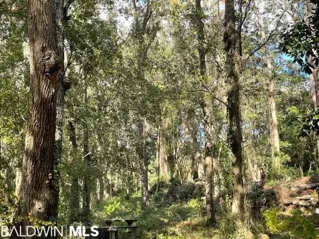 Land For Sale in Daphne, Alabama