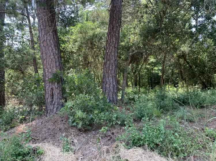 Land For Sale in 170, Tahitian Drive, Bastrop, Texas