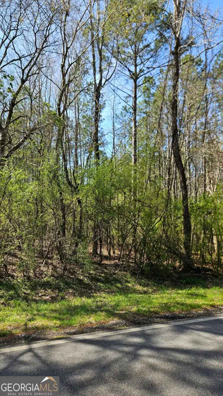 Land For Sale in Greensboro, Georgia