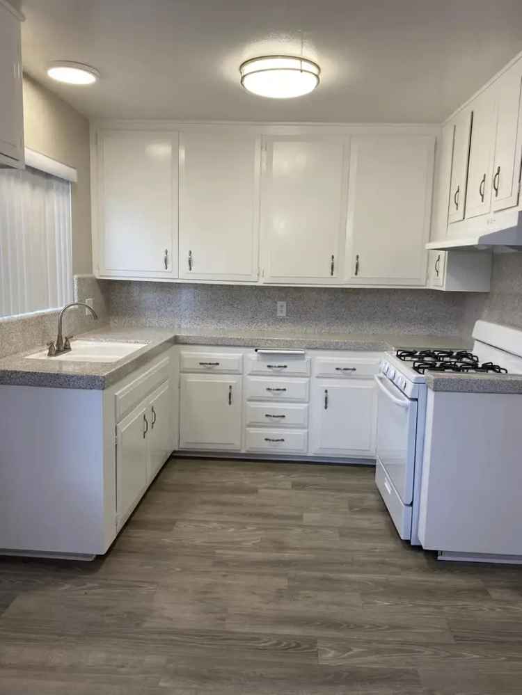 Apartments for Rent