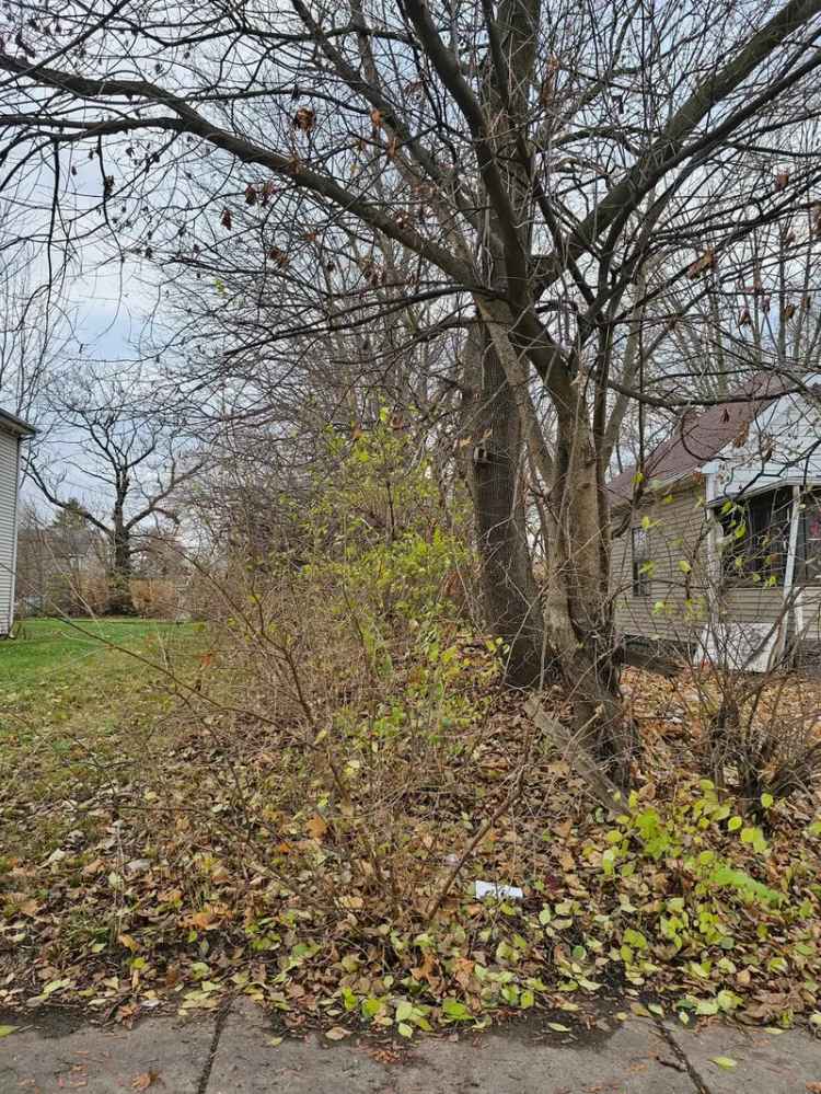 Land For Sale in 931, West 27th Street, Indianapolis, Indiana