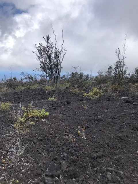 Land For Sale in Hawaiian Ocean View, Hawaii