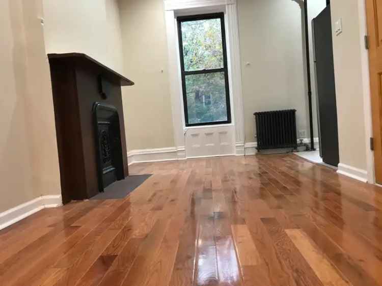 1 Bedroom Apartment in Bed Stuy - Newly Renovated