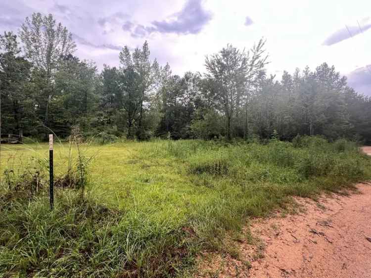 Country Lot near Hattiesburg and Purvis