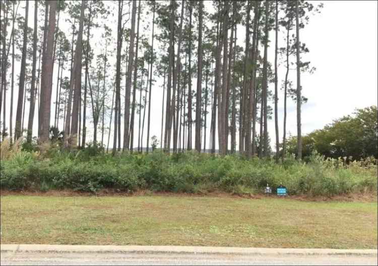 Land For Sale in 104, Island Estate Landing, St. Marys, Georgia