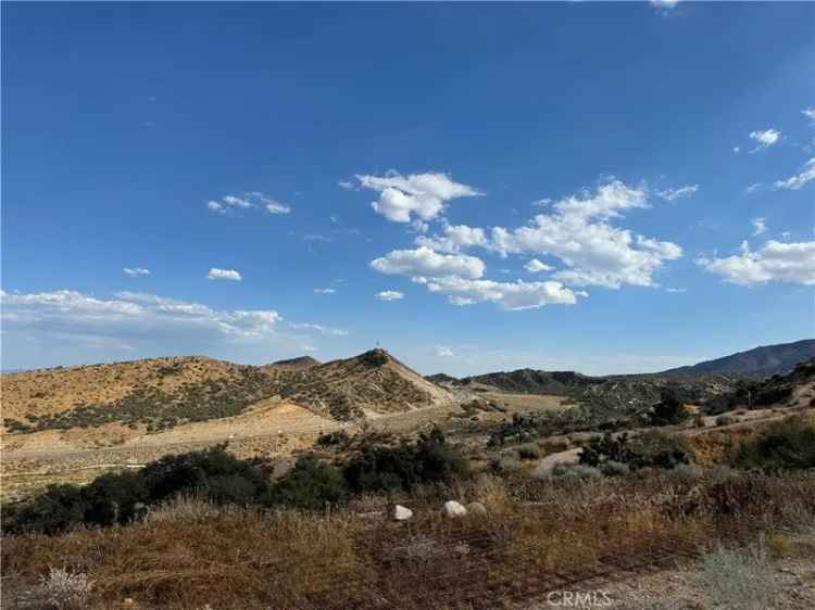 Land For Sale in Piñon Hills, California