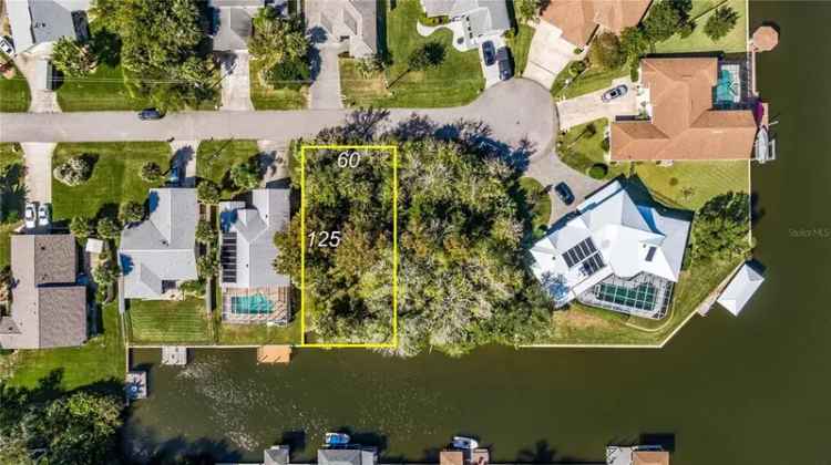 Land For Sale in Palm Coast, Florida