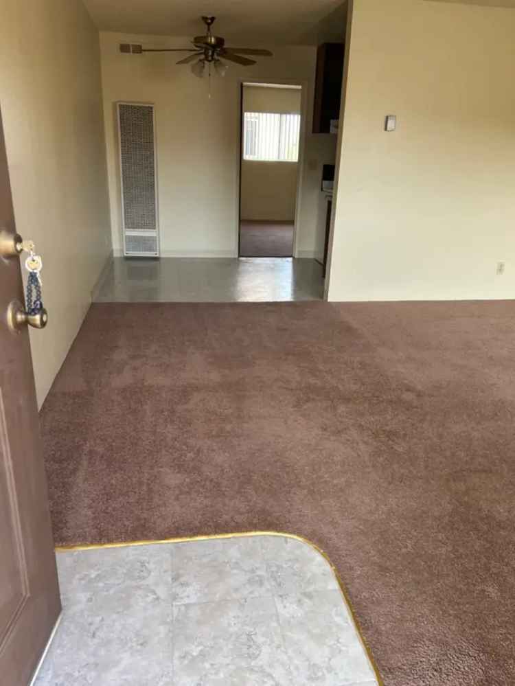 Apartments for Rent