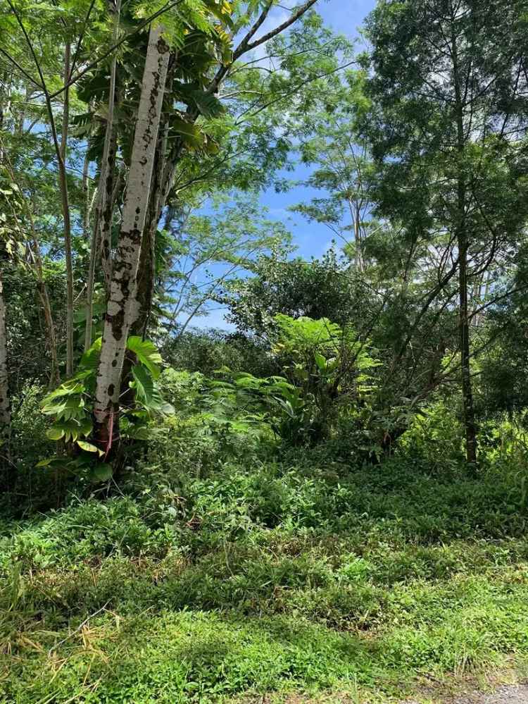 Land For Sale in Keaau, Hawaii