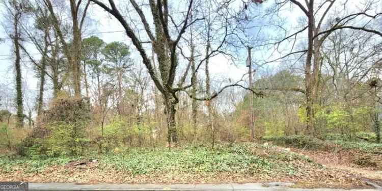 Land For Sale in Atlanta, Georgia