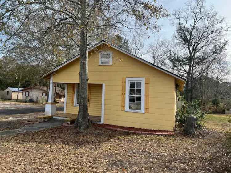 Single-family house For Sale in 331, Pelham Street, Andalusia, Alabama