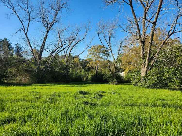 Land For Sale in Abbeville, Alabama