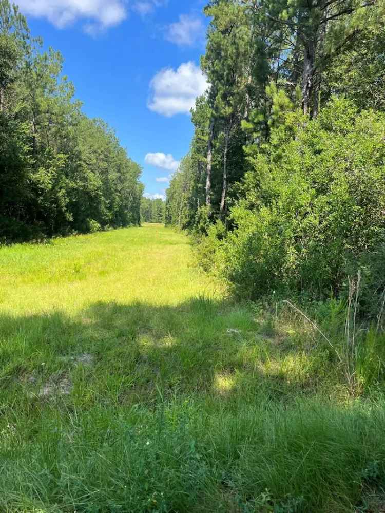 Land For Sale in Mississippi