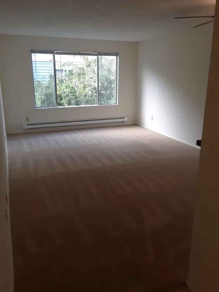 1 Bedroom Apartment Near University of Washington