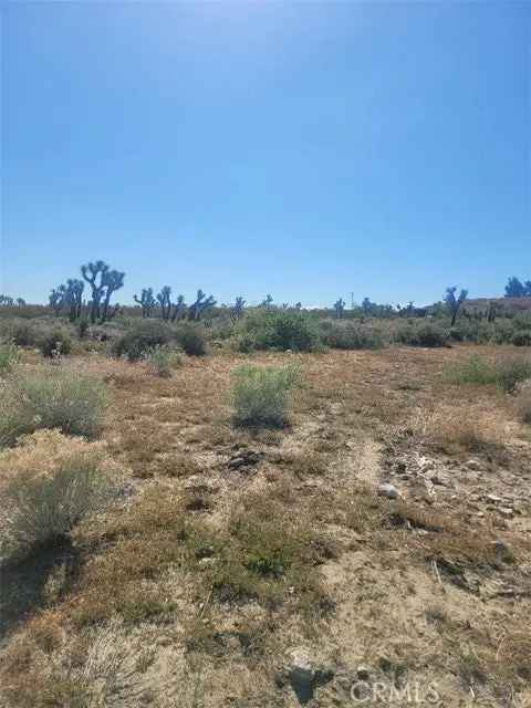 Land For Sale in Piñon Hills, California