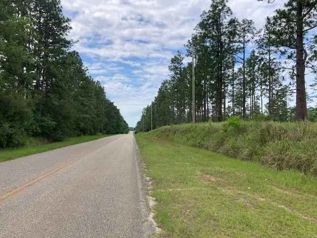 Land For Sale in Alabama