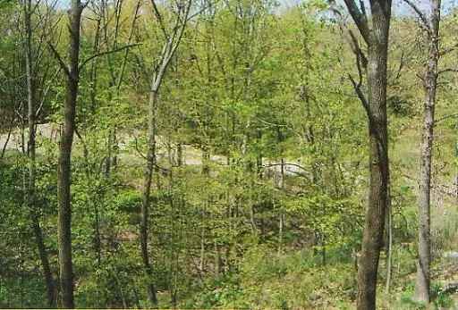 Land For Sale in 674, Oak Court, Marseilles, Illinois