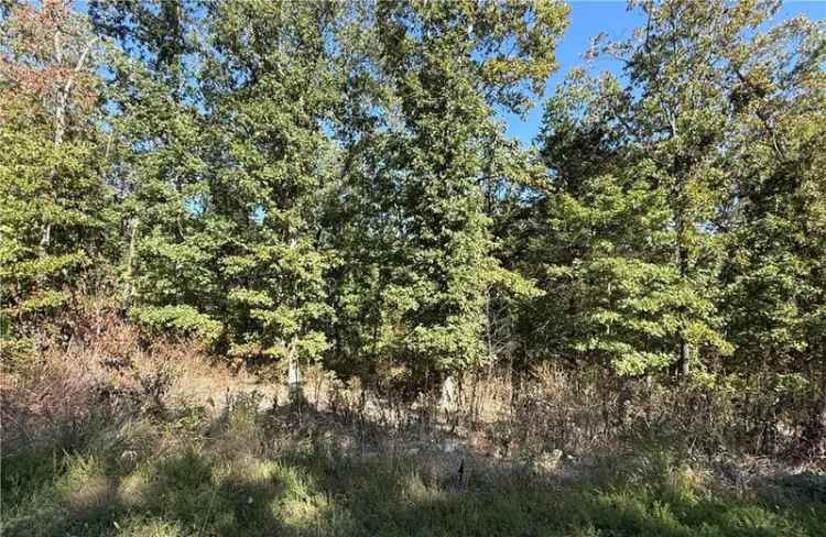 Land For Sale in West 30th Street, Little Rock, Arkansas