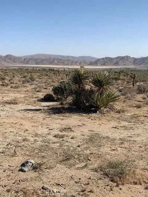 Land For Sale in Lucerne Valley, California