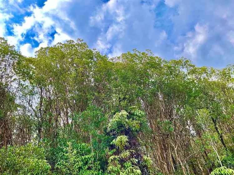 Land For Sale in Volcano, Hawaii