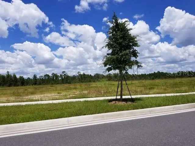 Land For Sale in 13480, Apopka Vineland Road, Orlando, Florida