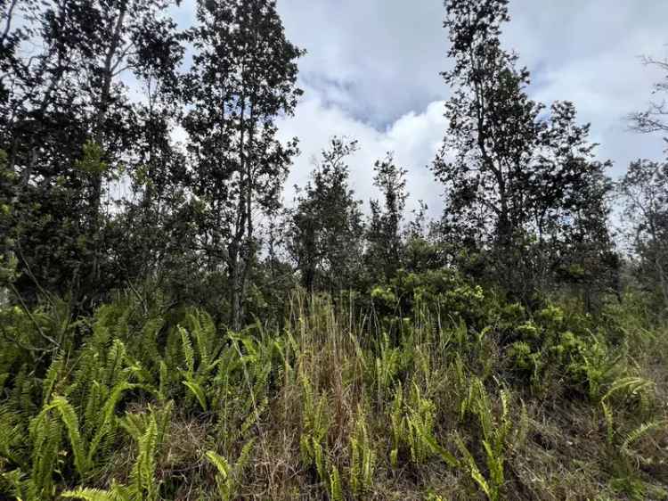 Land For Sale in Hawaiian Ocean View, Hawaii