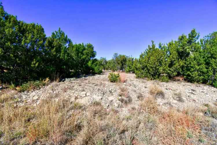 Land For Sale in 23, Tecolote Court, New Mexico