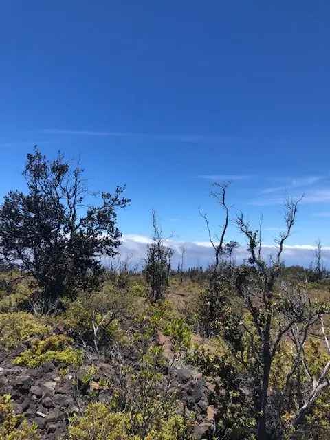 Land For Sale in Hawaiian Ocean View, Hawaii