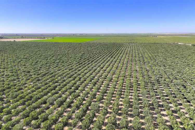 Land For Sale in San Joaquin, California