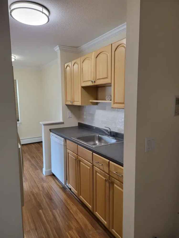 2 Bedroom Condo for Rent Completely Renovated