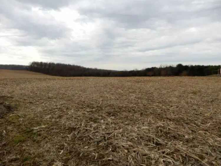 Land For Sale in 17970, Scott Road, Monroe Township, Ohio