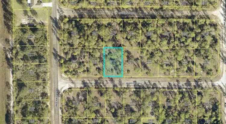 Land For Sale in Florida