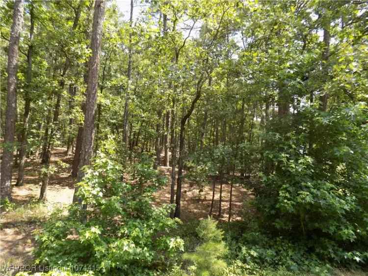 Land For Sale in Hot Springs Village, Arkansas