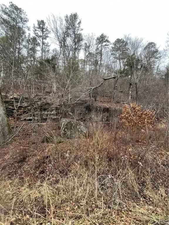 Land For Sale in 148, County Road 317, Eureka Springs, Arkansas