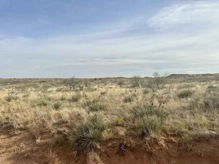 Land For Sale in Andrews, Texas