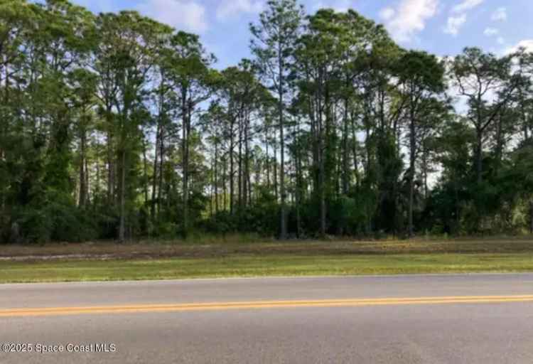 Land For Sale in 200, Emerson Drive Northwest, Palm Bay, Florida