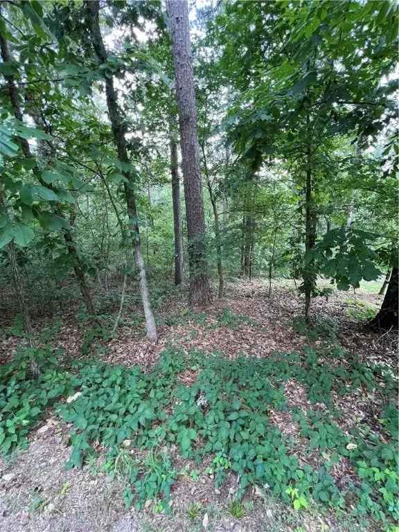 Land For Sale in Bella Vista, Arkansas