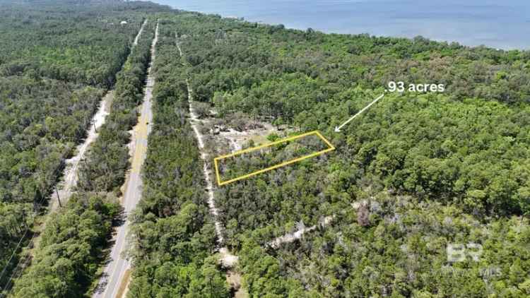 Land For Sale in Gulf Shores, Alabama