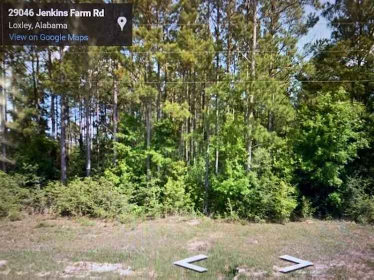 Land For Sale in Mobile, Alabama