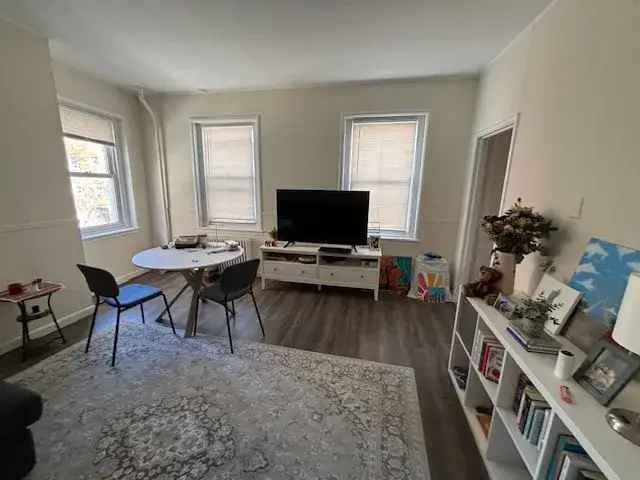 Spacious Downtown Apartment Near Tufts Medical and Emerson College