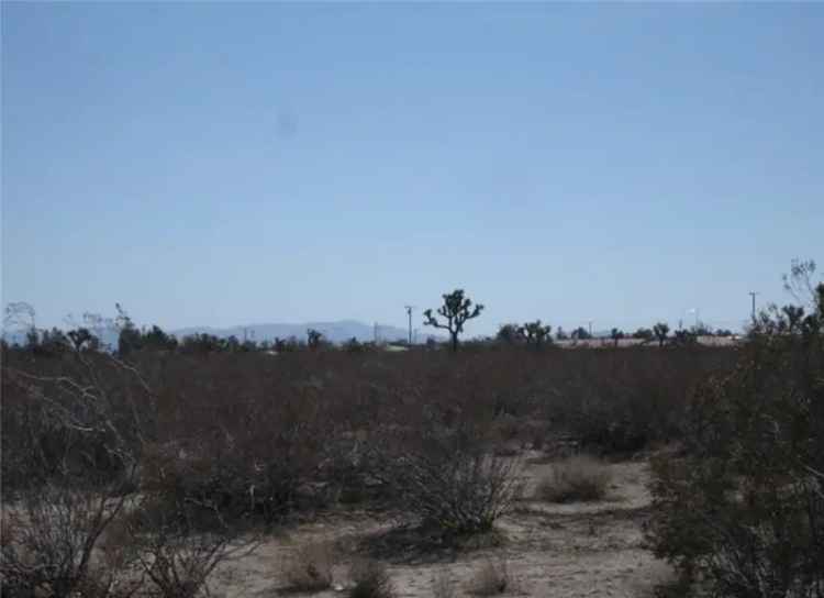 Land For Sale in Victorville, California