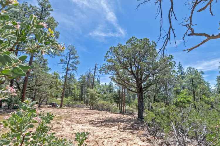 Land For Sale in Pine, Arizona