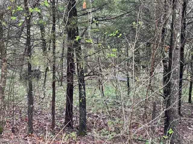 Land For Sale in 50, Starlite Avenue, Arkansas