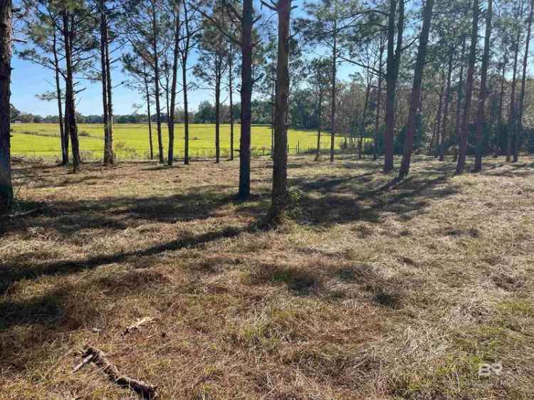 Land For Sale in Loxley, Alabama