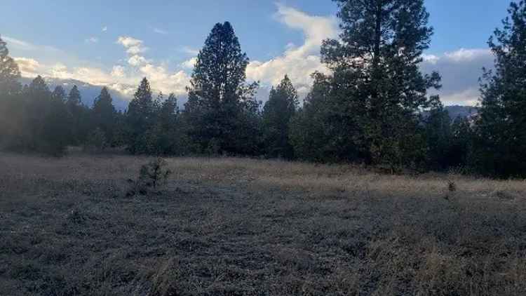 Land For Sale in Montana