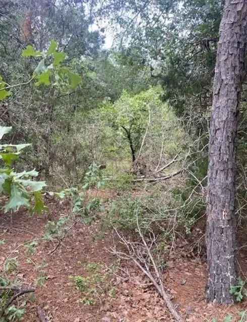 Land For Sale in 104, Mokuauia Court, Texas